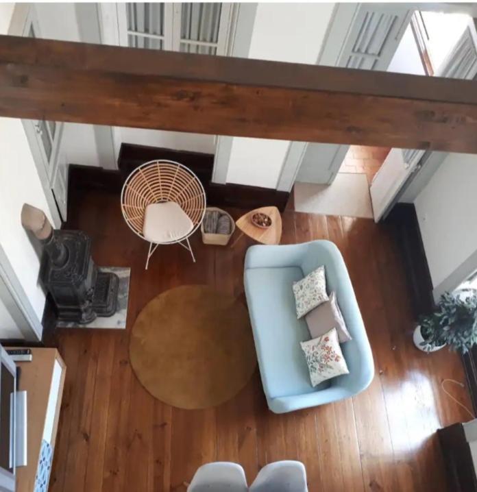 Ficus Benjamina Appartement Aveiro Buitenkant foto
